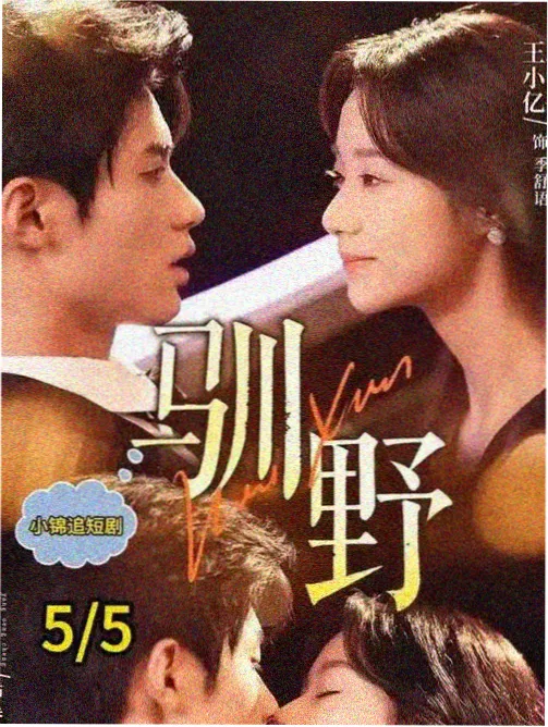 恶作剧之吻1996版缩略图